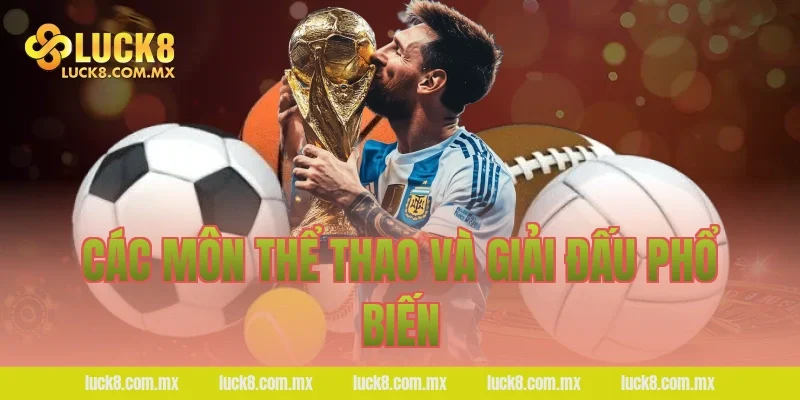 Các môn thể thao và giải đấu phổ biến