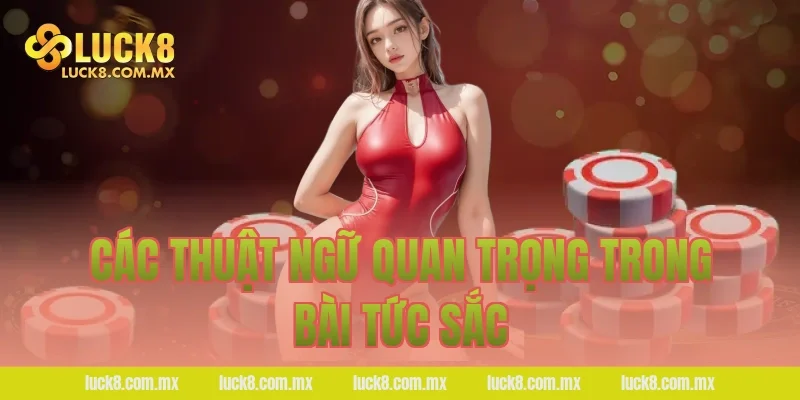 Các thuật ngữ quan trọng trong bài tức sắc